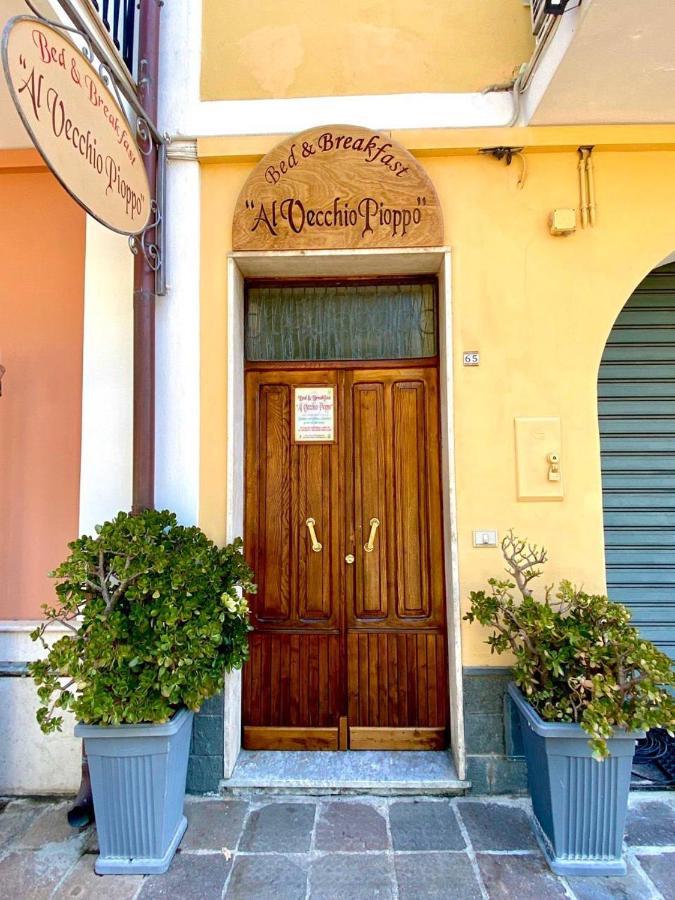 Bed and Breakfast Al Vecchio Pioppo Прая-а-Маре Экстерьер фото