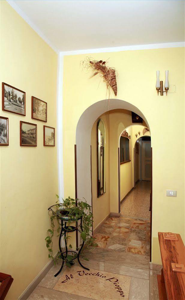 Bed and Breakfast Al Vecchio Pioppo Прая-а-Маре Экстерьер фото